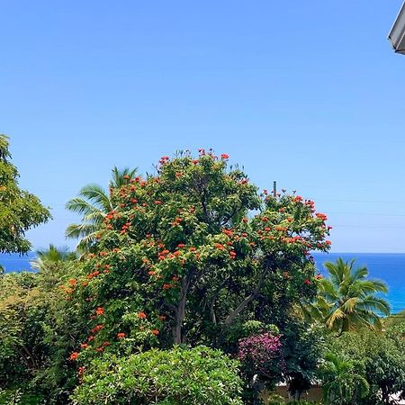 A Little Aloha Apartment Kailua-Kona Bagian luar foto